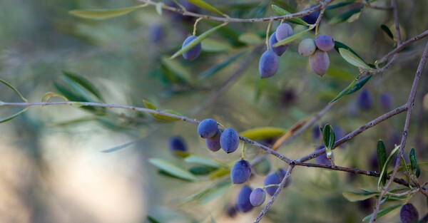 6-Minute Study - #451