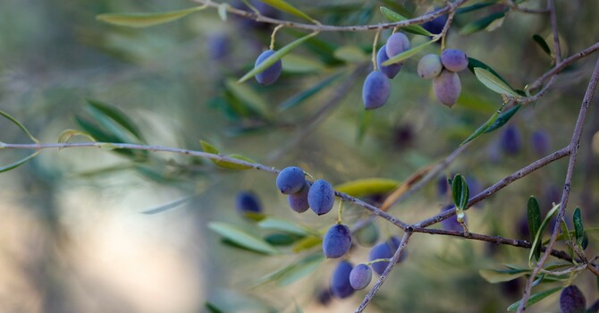 6-Minute Study - #451