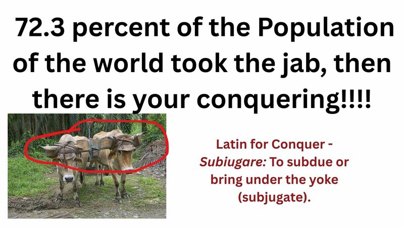 Book of Revelation Episode Eight