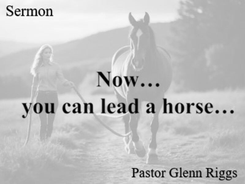 Now...you can lead a horse