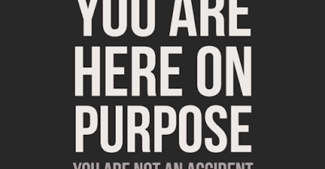 “ You are here on PURPOSE” “ You are not here by Accident ” image