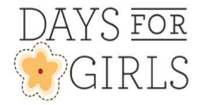 Days For Girls Work Bee