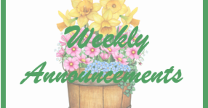 Weekly Announcements