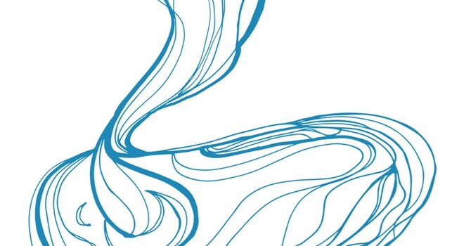 Bulletin for 3-8-26 image