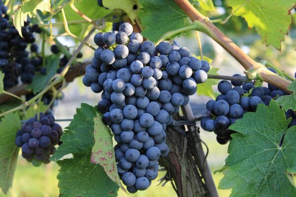 The Power of Divine Connection