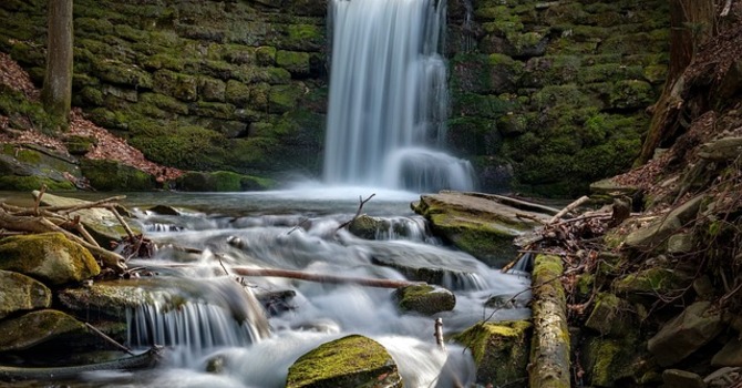 March 5, 2026 Devotion image