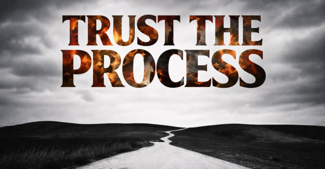 Trust the Process