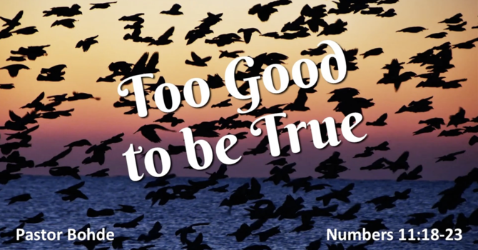 "Too Good To Be True"