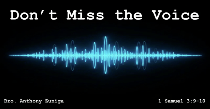 "Don't Miss The Voice"