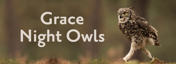 The Grace Night Owl Team Needs You!