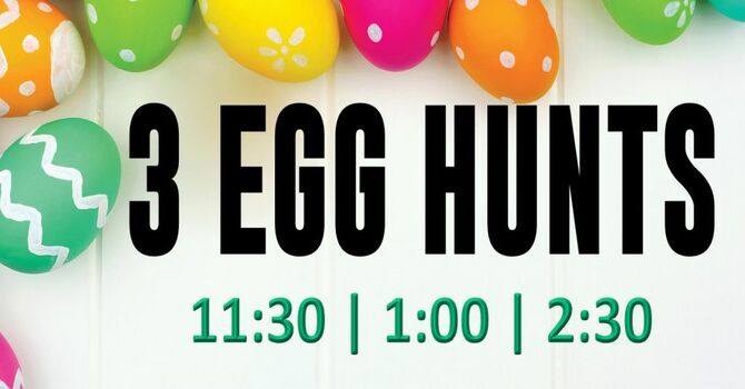 Egg Hunt