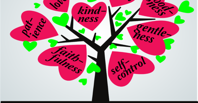 Church Identity Part 3: Fruit of the Spirit