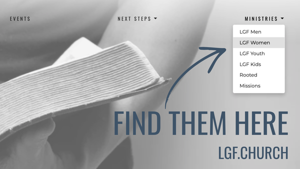 Life Groups / Ministries