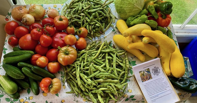 Seeds of Hope Garden