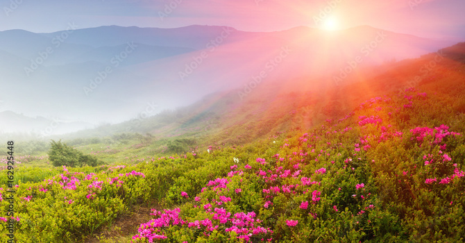 Easter Sunday Celebration