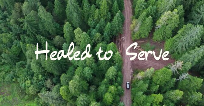Healed to Serve
