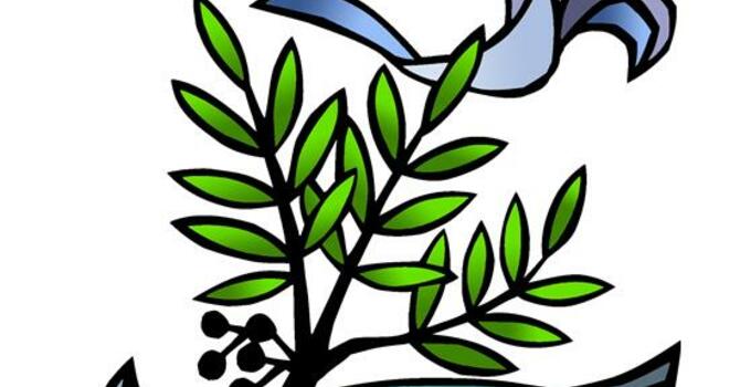  LENT 2_STEPHEN MINISTRY_2026-03-01 Worship