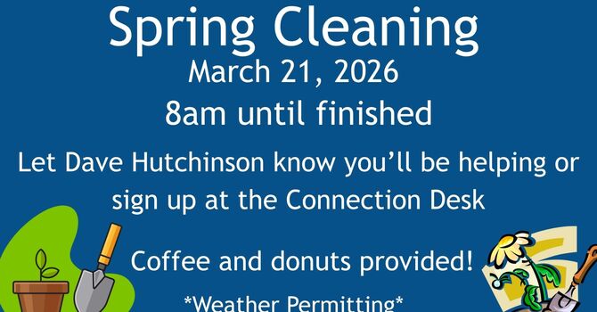 Spring Clean Up
