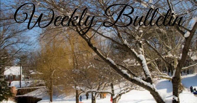 Bulletin for March 7 & 8, 2026
