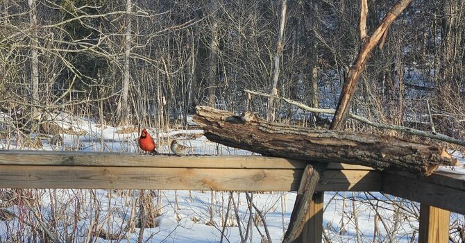 Passing the Peace - March 5, 2026