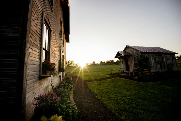 The Will to Dream: Advent 2025