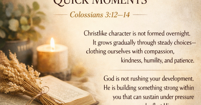 Steady Growth Over Quick Moments image