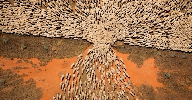 8:00 am Bulletin for March 8, 2026 image