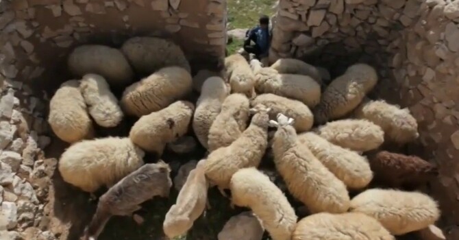 10:30 am Bulletin for March 8, 2026 image