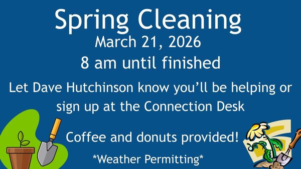 Spring Clean Up