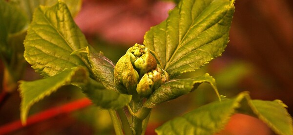 The week of March 8, 2026