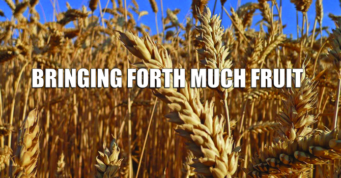 Bringing Forth Much Fruit