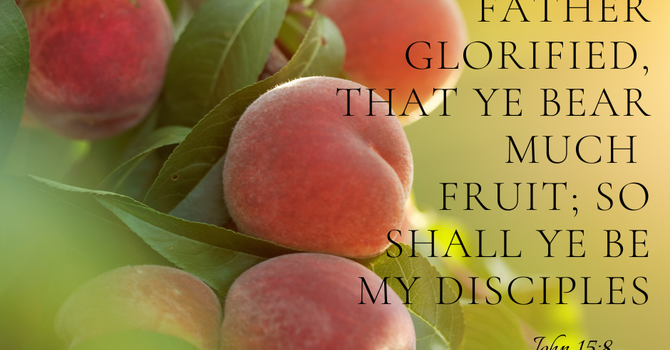 Fruit That Remains image