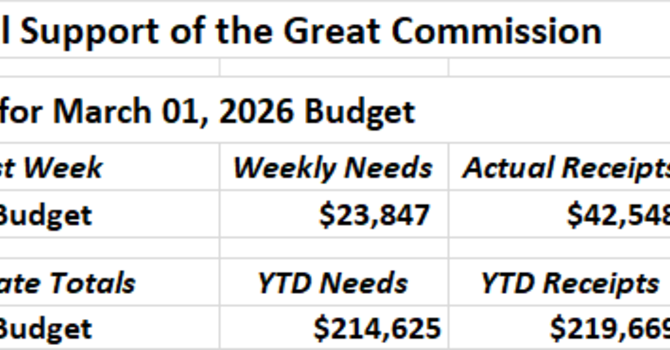 Our Financial Support of the Great Commission image