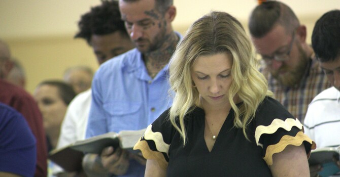 Pastor Trent’s weekly DIVE IN devotional.  image