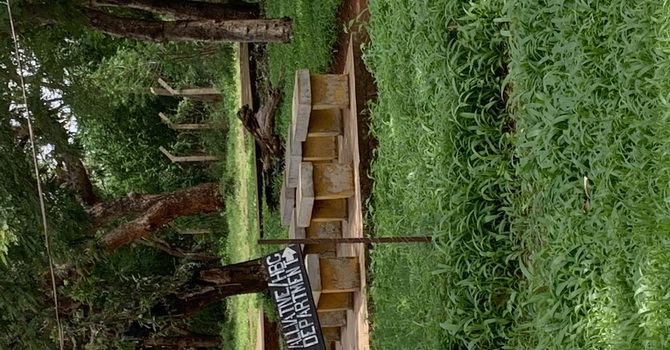 Tanzania 2026 - Palliative Care Program