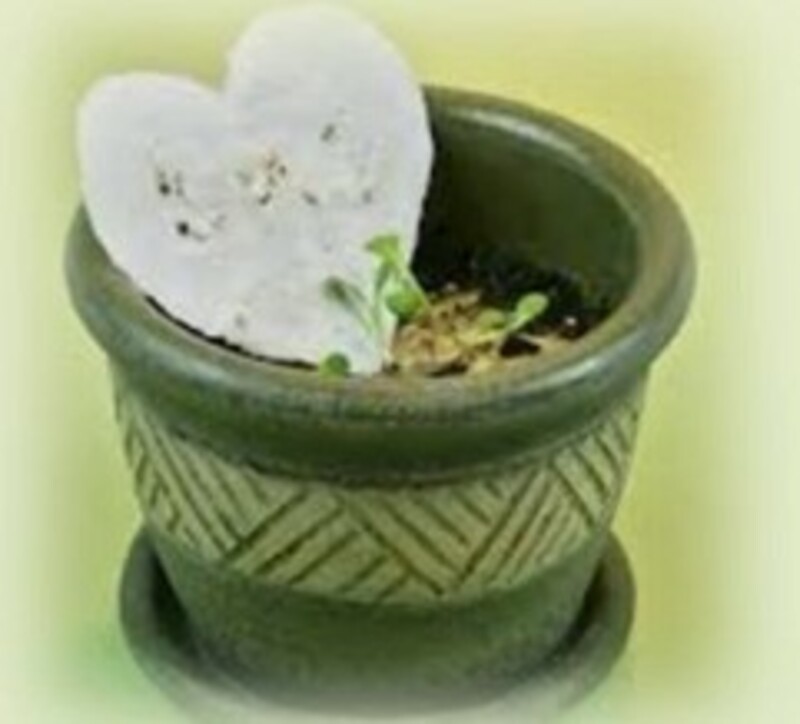 What God Has Revealed (Easter)