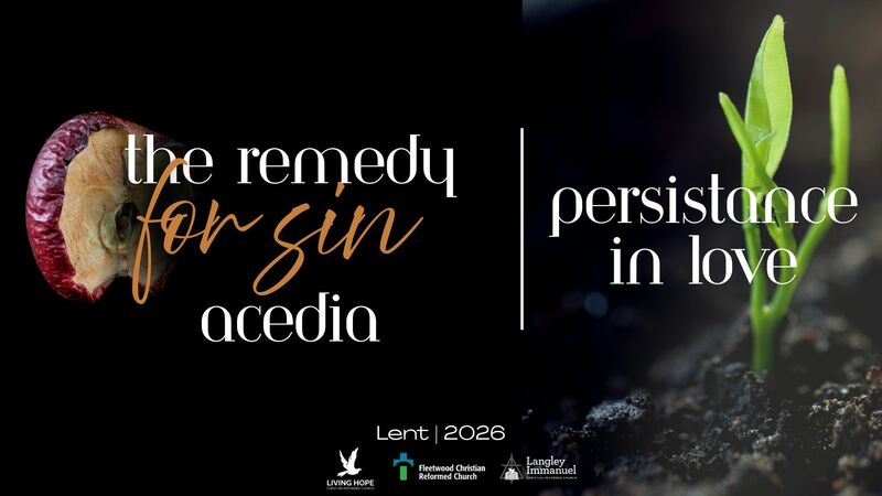 The Remedy to Acedia