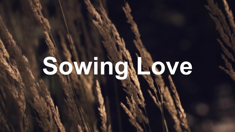 Sowing Love