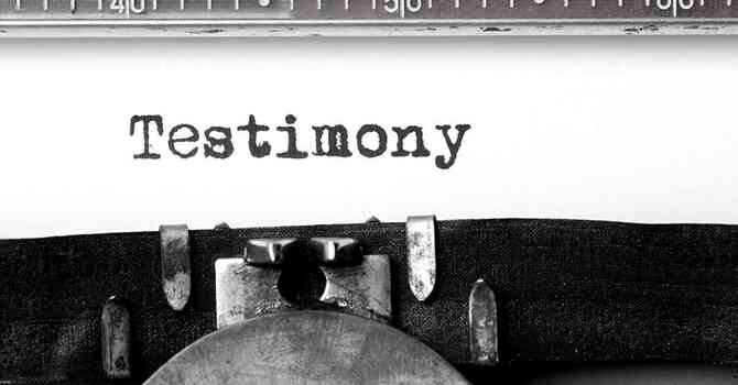 Stephen Smiley's Testimony