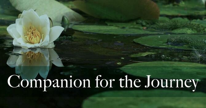 Worship Bulletin 03-08-26