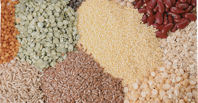 Pulse & Grain Donations