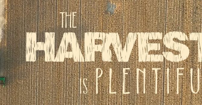 “…whoever drinks the water that I will give him will never be thirsty again.”