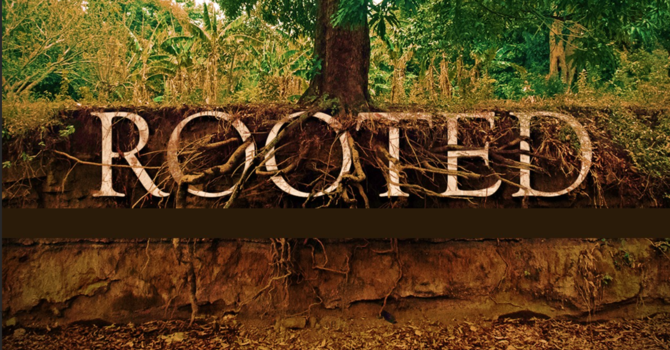 "Rooted"