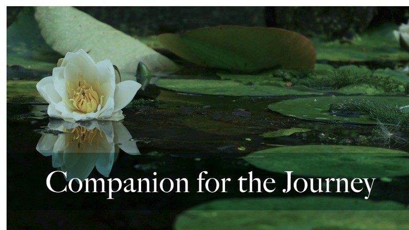 Companion for the Journey