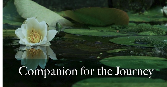 Companion for the Journey