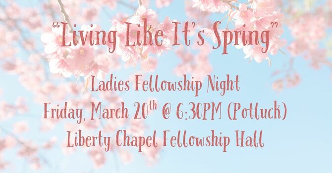 Ladies Fellowship Night