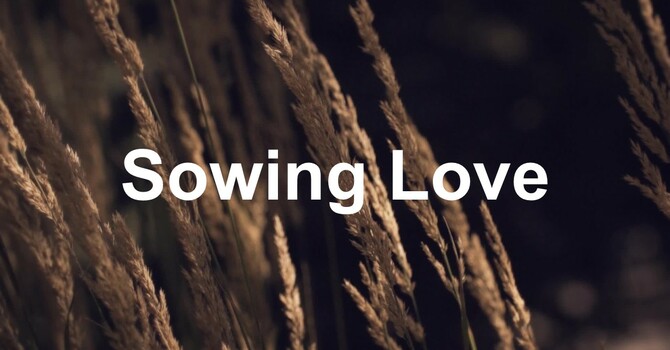 Sowing Love