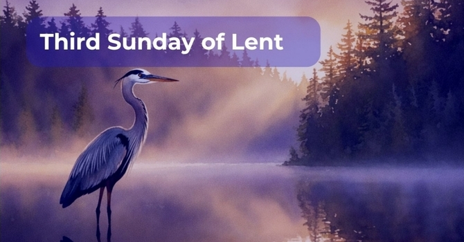 Third Sunday of Lent