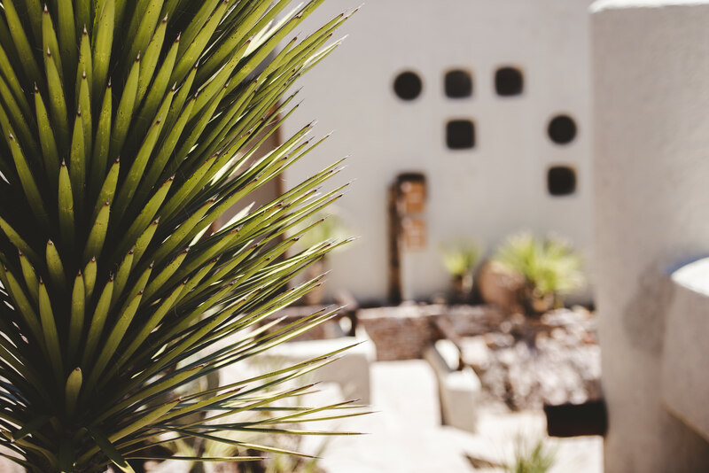 The Sacredness of The Church