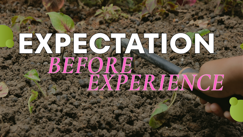 Expectation Before The Experience